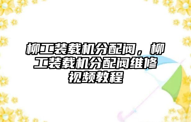 柳工裝載機(jī)分配閥，柳工裝載機(jī)分配閥維修視頻教程