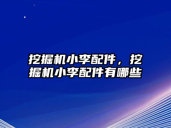 挖掘機小李配件，挖掘機小李配件有哪些