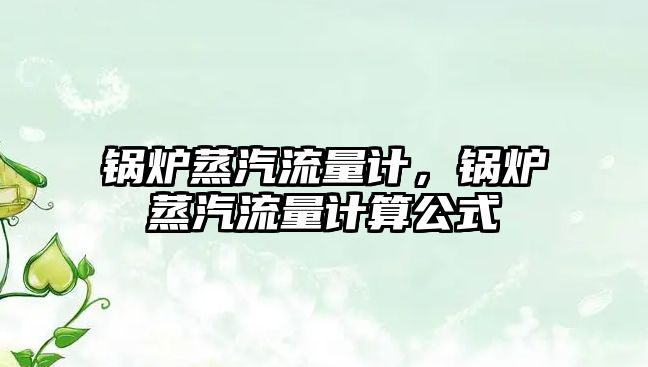 鍋爐蒸汽流量計，鍋爐蒸汽流量計算公式