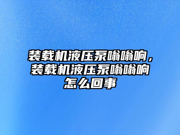 裝載機液壓泵嗡嗡響，裝載機液壓泵嗡嗡響怎么回事