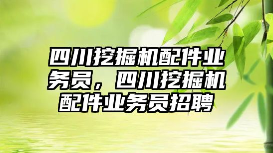 四川挖掘機配件業(yè)務(wù)員，四川挖掘機配件業(yè)務(wù)員招聘