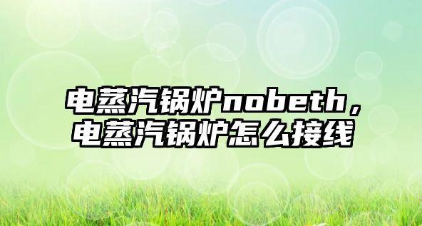 電蒸汽鍋爐nobeth，電蒸汽鍋爐怎么接線