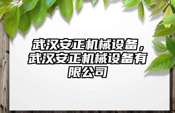 武漢安正機械設(shè)備，武漢安正機械設(shè)備有限公司