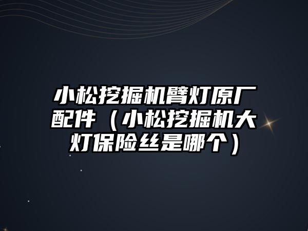 小松挖掘機臂燈原廠配件（小松挖掘機大燈保險絲是哪個）