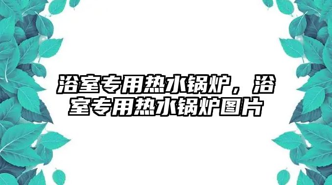 浴室專用熱水鍋爐，浴室專用熱水鍋爐圖片