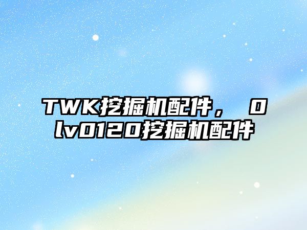 TWK挖掘機配件，ⅴ0lv0120挖掘機配件