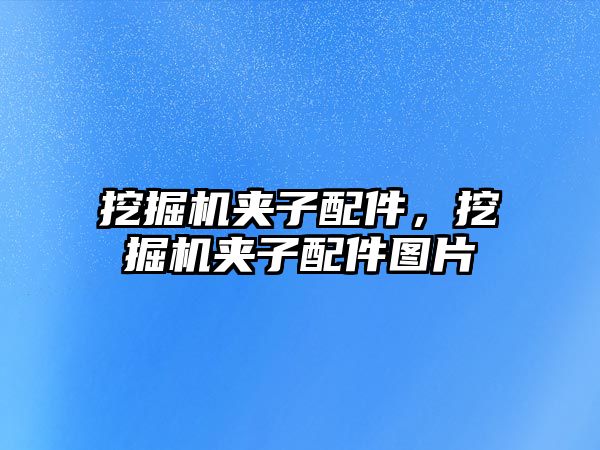 挖掘機夾子配件，挖掘機夾子配件圖片