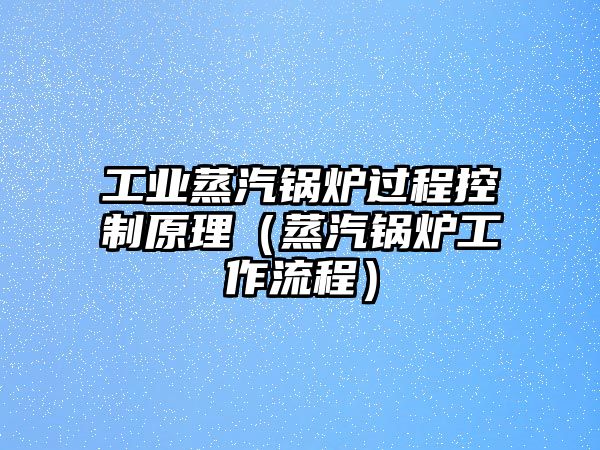 工業(yè)蒸汽鍋爐過(guò)程控制原理（蒸汽鍋爐工作流程）