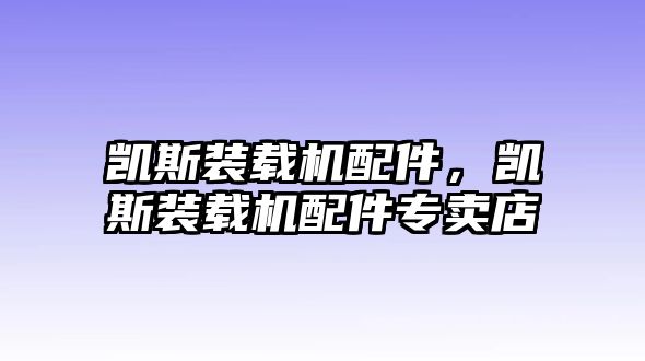 凱斯裝載機配件，凱斯裝載機配件專賣店