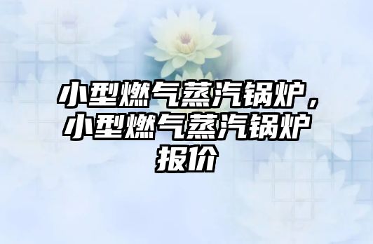 小型燃?xì)庹羝仩t，小型燃?xì)庹羝仩t報價