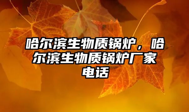 哈爾濱生物質(zhì)鍋爐，哈爾濱生物質(zhì)鍋爐廠家電話