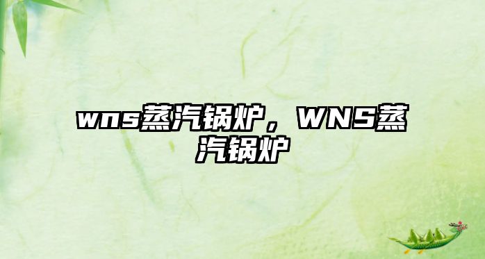 wns蒸汽鍋爐，WNS蒸汽鍋爐