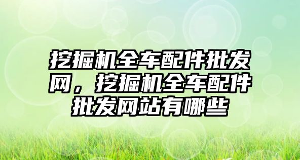 挖掘機全車配件批發(fā)網(wǎng)，挖掘機全車配件批發(fā)網(wǎng)站有哪些