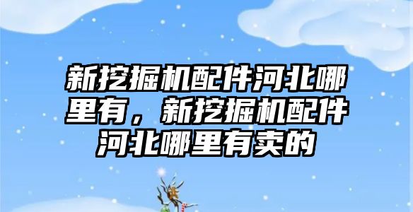 新挖掘機配件河北哪里有，新挖掘機配件河北哪里有賣的