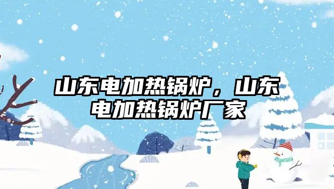 山東電加熱鍋爐，山東電加熱鍋爐廠家