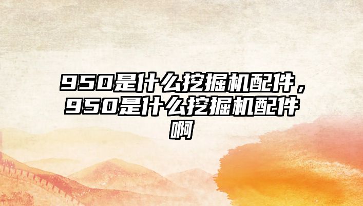 950是什么挖掘機配件，950是什么挖掘機配件啊