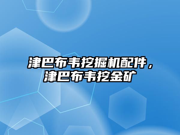 津巴布韋挖掘機(jī)配件，津巴布韋挖金礦