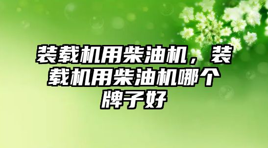 裝載機用柴油機，裝載機用柴油機哪個牌子好