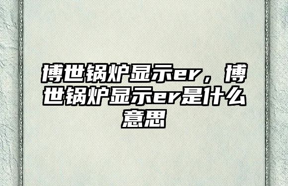 博世鍋爐顯示er，博世鍋爐顯示er是什么意思