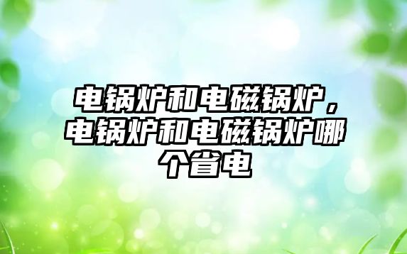 電鍋爐和電磁鍋爐，電鍋爐和電磁鍋爐哪個省電