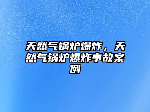 天然氣鍋爐爆炸，天然氣鍋爐爆炸事故案例