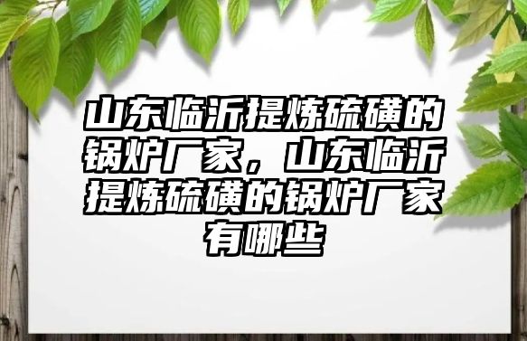 山東臨沂提煉硫磺的鍋爐廠家，山東臨沂提煉硫磺的鍋爐廠家有哪些