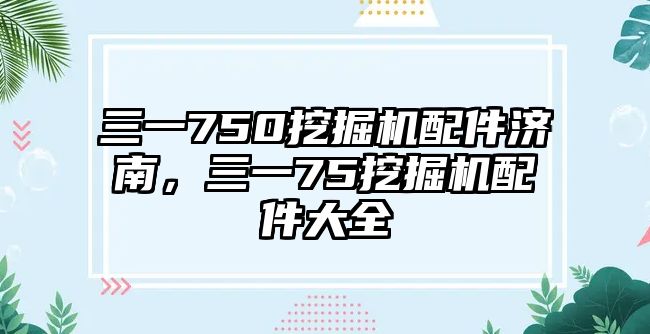 三一750挖掘機(jī)配件濟(jì)南，三一75挖掘機(jī)配件大全