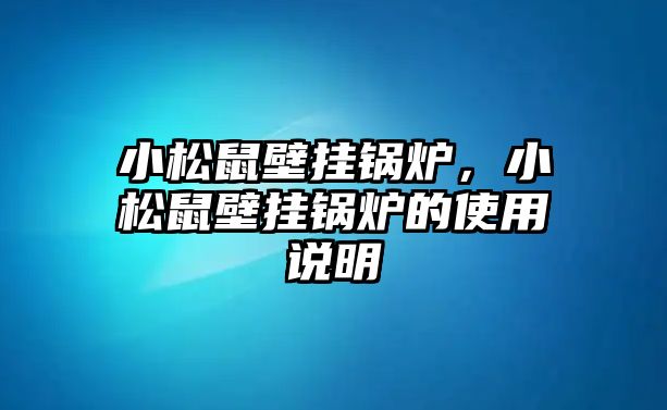 小松鼠壁掛鍋爐，小松鼠壁掛鍋爐的使用說明