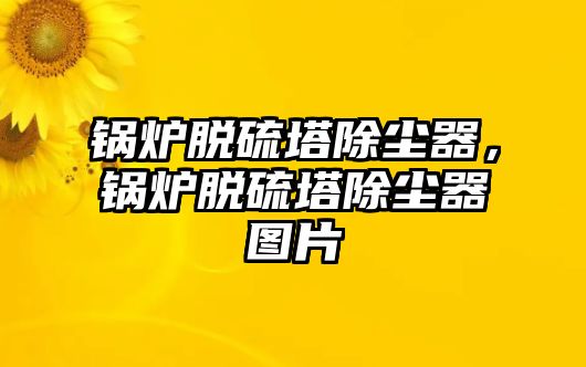 鍋爐脫硫塔除塵器，鍋爐脫硫塔除塵器圖片