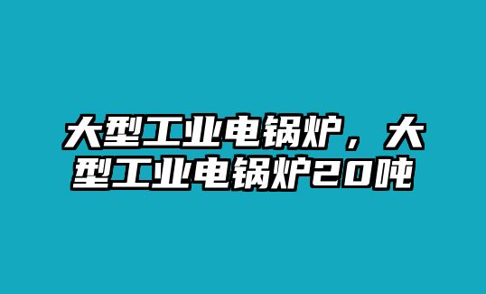 大型工業(yè)電鍋爐，大型工業(yè)電鍋爐20噸