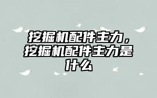 挖掘機配件主力，挖掘機配件主力是什么