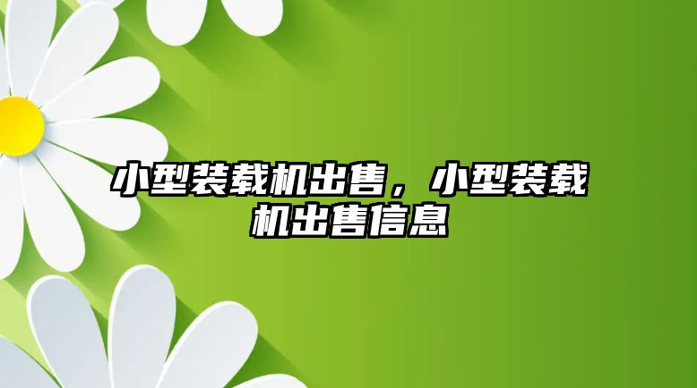 小型裝載機出售，小型裝載機出售信息