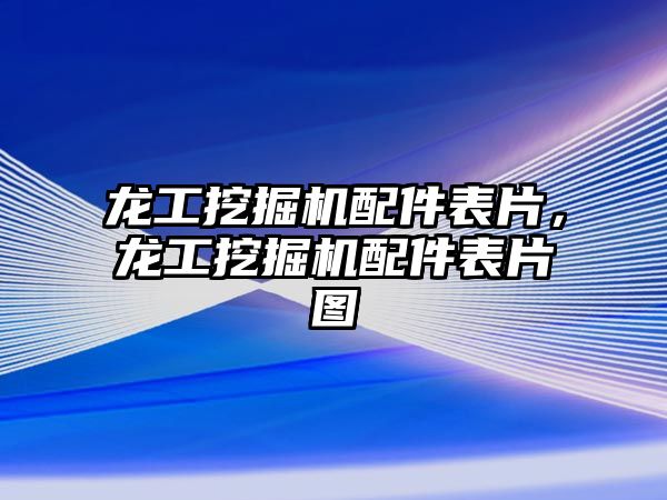 龍工挖掘機配件表片，龍工挖掘機配件表片圖