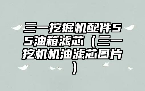 三一挖掘機配件55油箱濾芯（三一挖機機油濾芯圖片）