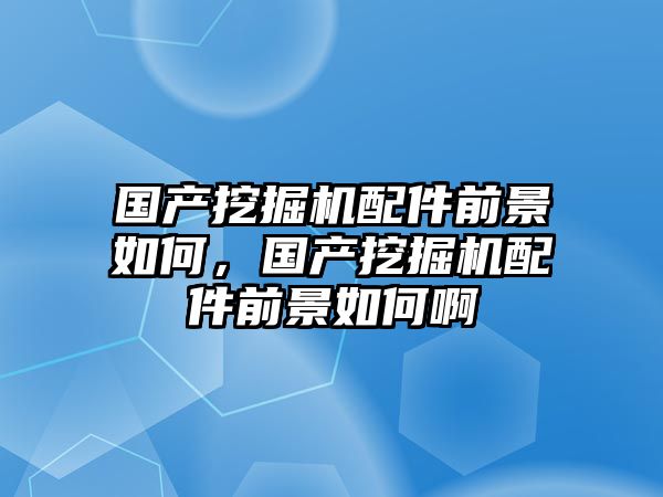 國產(chǎn)挖掘機配件前景如何，國產(chǎn)挖掘機配件前景如何啊