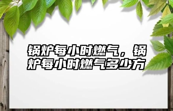 鍋爐每小時(shí)燃?xì)?，鍋爐每小時(shí)燃?xì)舛嗌俜?/>	
								</i>
								<p class=