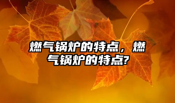 燃?xì)忮仩t的特點(diǎn)，燃?xì)忮仩t的特點(diǎn)?