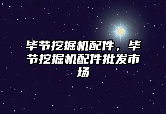 畢節(jié)挖掘機配件，畢節(jié)挖掘機配件批發(fā)市場