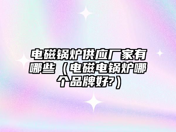 電磁鍋爐供應(yīng)廠家有哪些（電磁電鍋爐哪個(gè)品牌好?）