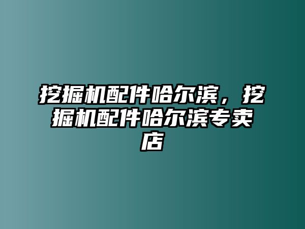 挖掘機配件哈爾濱，挖掘機配件哈爾濱專賣店