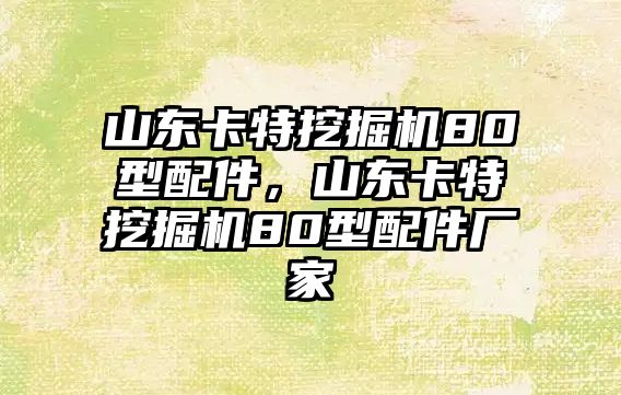 山東卡特挖掘機(jī)80型配件，山東卡特挖掘機(jī)80型配件廠家