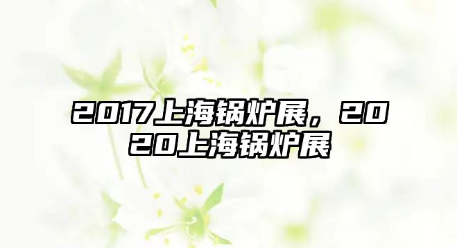 2017上海鍋爐展，2020上海鍋爐展