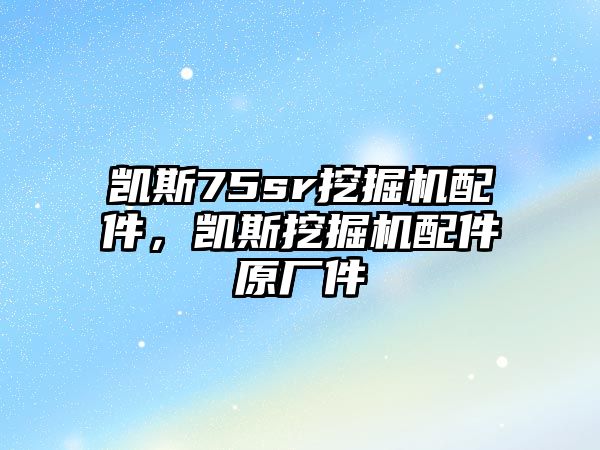 凱斯75sr挖掘機配件，凱斯挖掘機配件原廠件