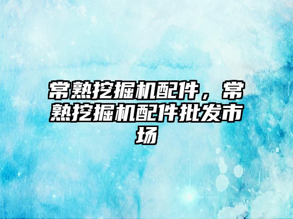 常熟挖掘機配件，常熟挖掘機配件批發(fā)市場