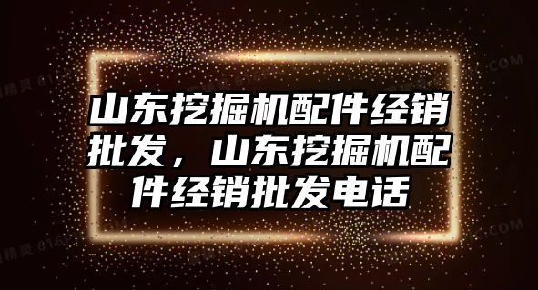 山東挖掘機配件經(jīng)銷批發(fā)，山東挖掘機配件經(jīng)銷批發(fā)電話