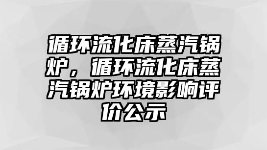 循環(huán)流化床蒸汽鍋爐，循環(huán)流化床蒸汽鍋爐環(huán)境影響評(píng)價(jià)公示