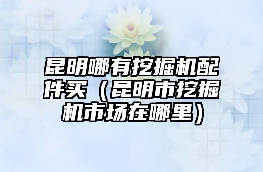 昆明哪有挖掘機(jī)配件買(mǎi)（昆明市挖掘機(jī)市場(chǎng)在哪里）