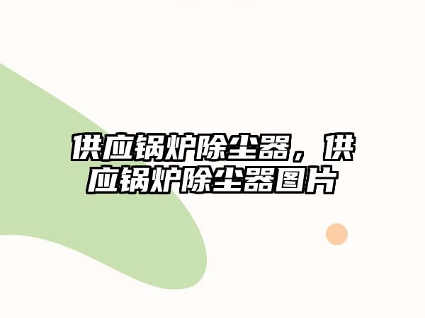 供應(yīng)鍋爐除塵器，供應(yīng)鍋爐除塵器圖片