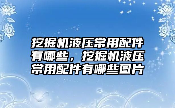 挖掘機(jī)液壓常用配件有哪些，挖掘機(jī)液壓常用配件有哪些圖片