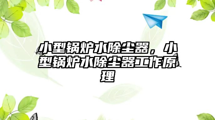 小型鍋爐水除塵器，小型鍋爐水除塵器工作原理